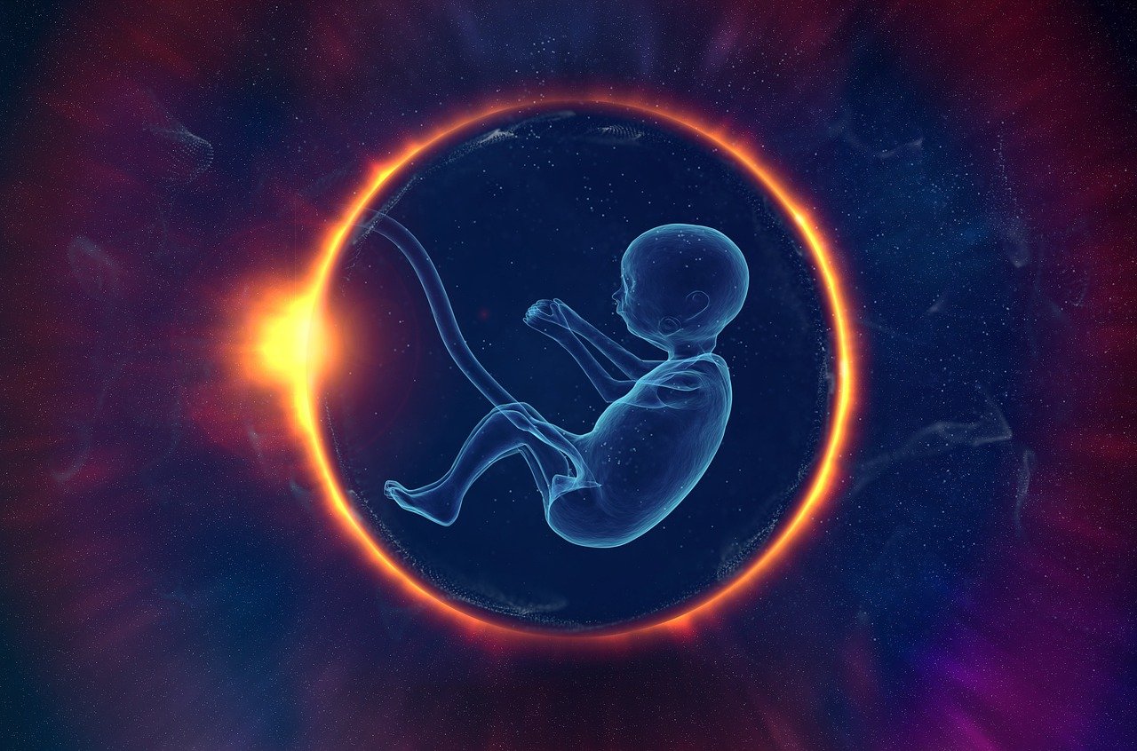 babyentwicklung monate: was passiert im ersten lebensjahr?