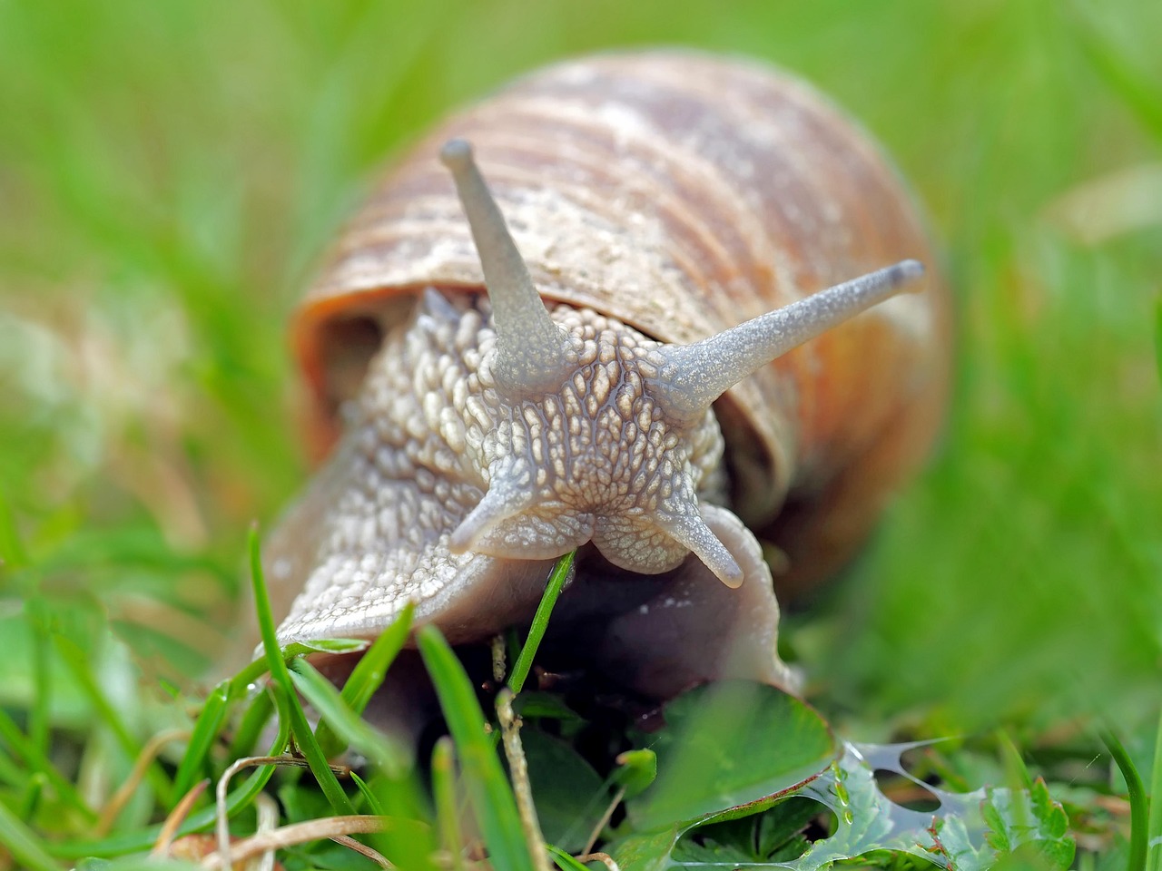 Wann kann mein Baby anfangen zu krabbeln?