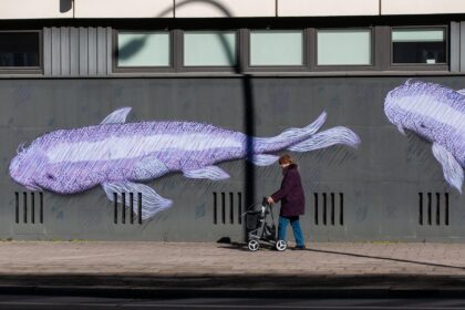 entdecken sie unsere vielfältige auswahl an kinderwagen – komfortabel, sicher und stilvoll für ihr baby.